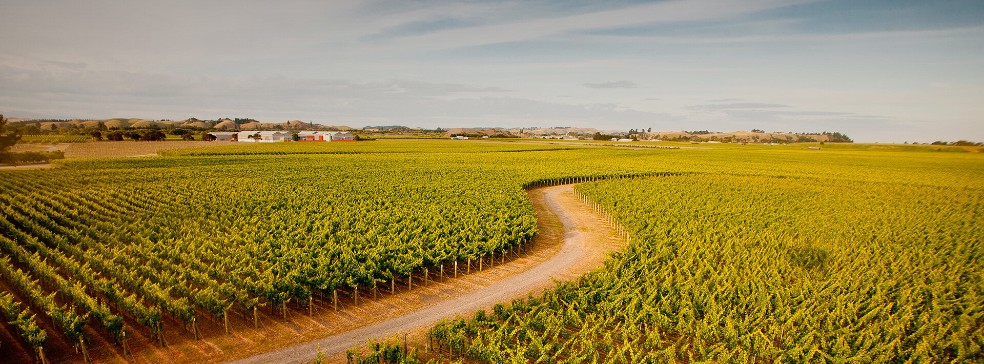 WINERY PARTNERS